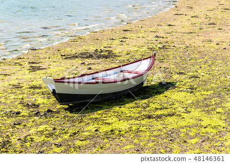 Boat stranded at low tide in the port of Saint-Suliac Boat stranded at low tide in the port of Saint-Suliac 48146361