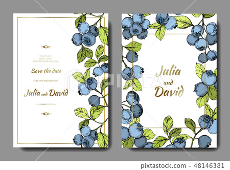 Vector Blueberry blue and green engraved ink art. Berries and green leaves. Wedding background card 48146381