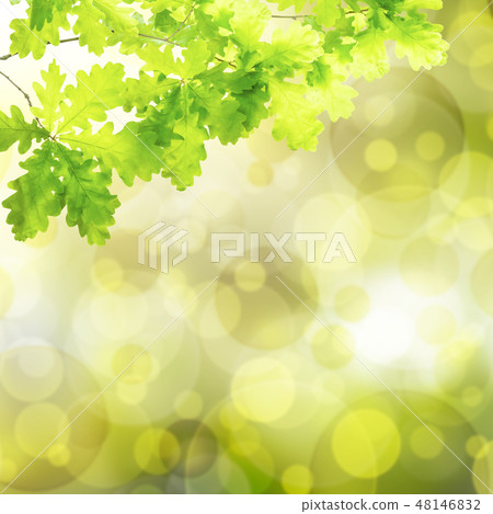 Green background with oak 48146832