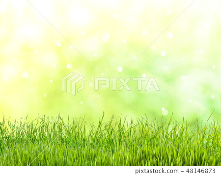 Spring meadow Spring meadow 48146873