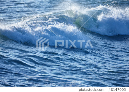 A big wave desired from Senjojiki 48147003