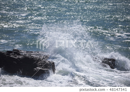 A big wave desired from Senjojiki 48147341