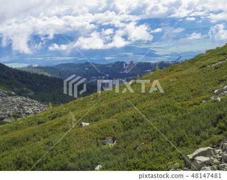 Valley Mlynska Dolina in slovakia mountains with Panoramic view on Strbske pleso village and green 48147481