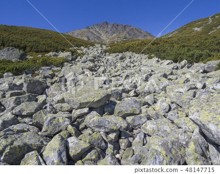 View on mountain Peak Lomnicky stit 2 634 m covered in clouds at Summer, one of the highest mountain 48147715
