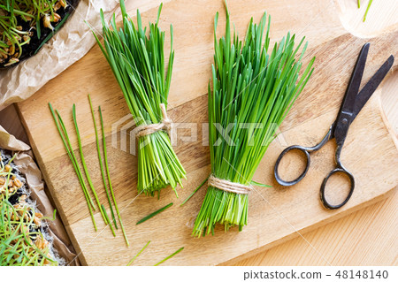 Fresh wheatgrass and scissors on a cutting board 48148140