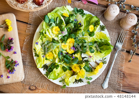 Salad with lettuce and wild edible plants 48148144