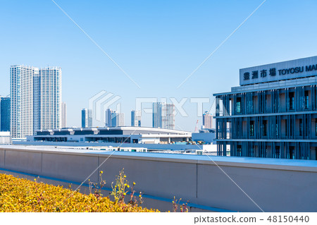 從豐洲市場屋頂屋頂綠化廣場看到的風景 從豐洲市場屋頂屋頂綠化廣場看到的風景 48150440