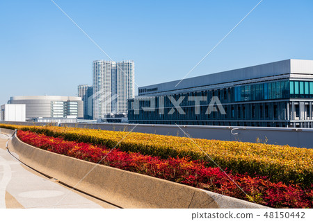 從豐洲市場屋頂屋頂綠化廣場看到的風景 從豐洲市場屋頂屋頂綠化廣場看到的風景 48150442