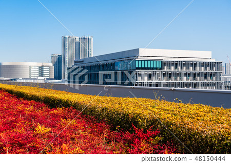 從豐洲市場屋頂屋頂綠化廣場看到的風景 從豐洲市場屋頂屋頂綠化廣場看到的風景 48150444