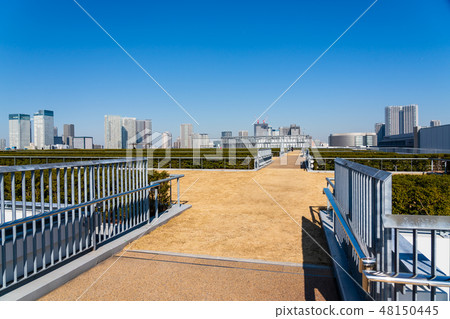 從豐洲市場屋頂屋頂綠化廣場看到的風景 從豐洲市場屋頂屋頂綠化廣場看到的風景 48150445