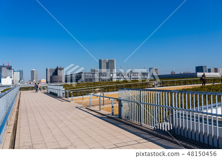 Scenery seen from Toyosu market rooftop Rooftop greening square Scenery seen from Toyosu market rooftop Rooftop greening square 48150456