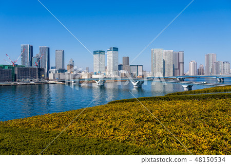 從豐洲市場屋頂屋頂綠化廣場看到的風景 48150534