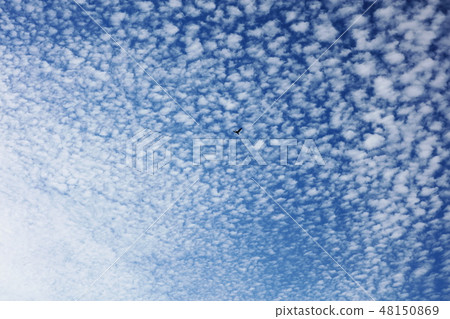 天空 48150869