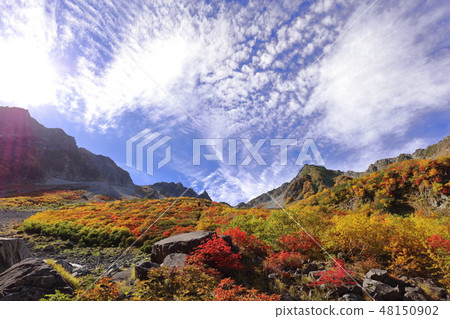 秋山全景 48150902