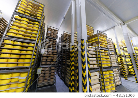 shelves with cheese at a cheese warehouse shelves with cheese at a cheese warehouse 48151306