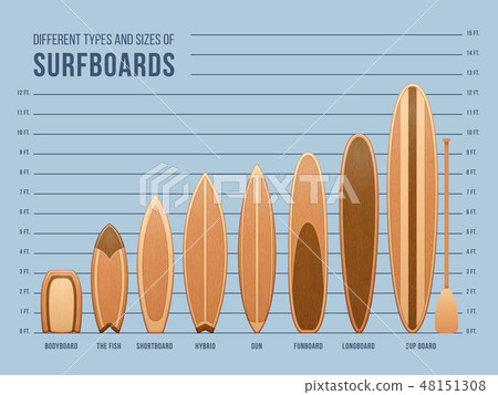 Different sports surfboards for surfing vector set Different sports surfboards for surfing vector set 48151308