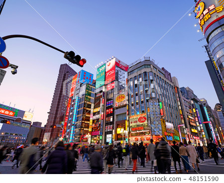 在歌舞伎町等的東京都市風景的視圖（夜景） 48151590