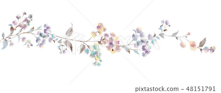 Colorful little chrysanthemum flower illustration Colorful little chrysanthemum flower illustration 48151791