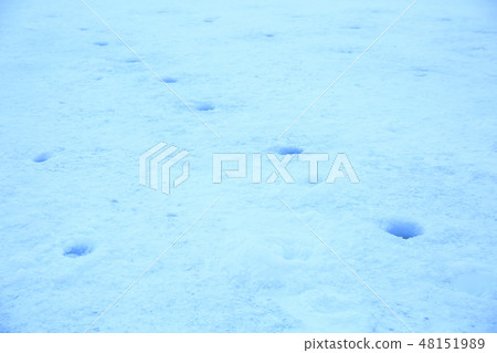 Wakasagi fishing hole Wakasagi fishing hole 48151989