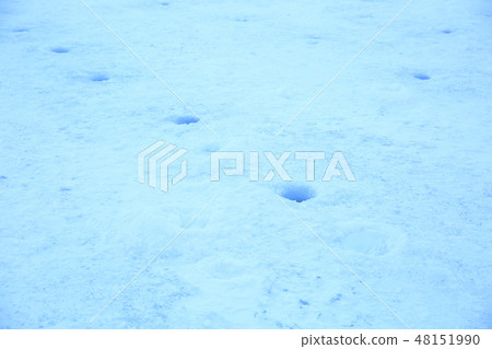 Wakasagi fishing hole 48151990