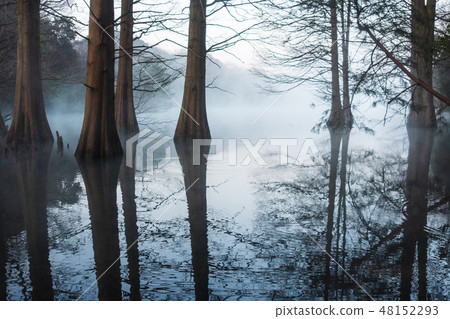 Morning fog's Kyushu no Mori Morning fog's Kyushu no Mori 48152293