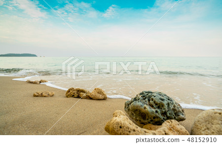 Corals on sand beach by the sea with blue sky 48152910