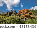韓屋的秋天 48153439