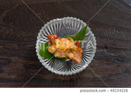 Hoya sashimi 48154226