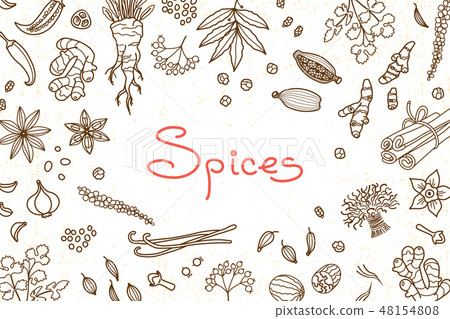 Background with various spices used in cooking and inscription for the design of menus, recipes and 48154808