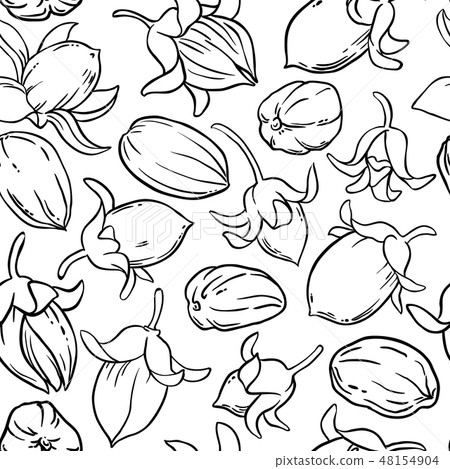 jojoba vector pattern 48154904