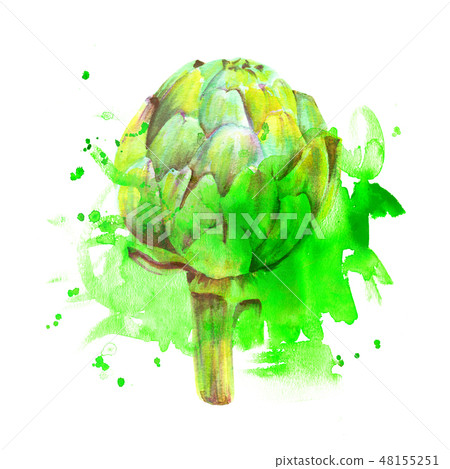 A watercolor drawing of a vibrant artichoke with splashes of paint on a white background 48155251