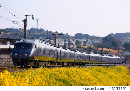 Rape blossom carpet near Hizen Tooru! Series 787 · limited express 48155761