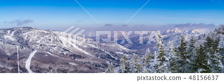 Landscape story (Winter in Shiga Kogen) 48156637