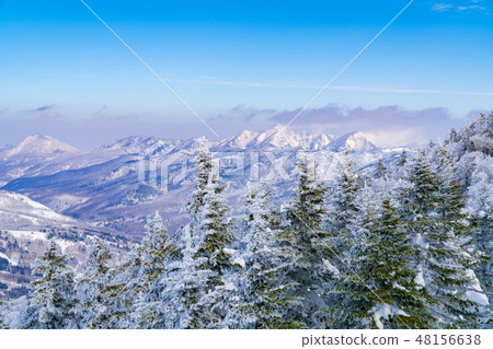 Landscape story (Winter in Shiga Kogen) 48156638