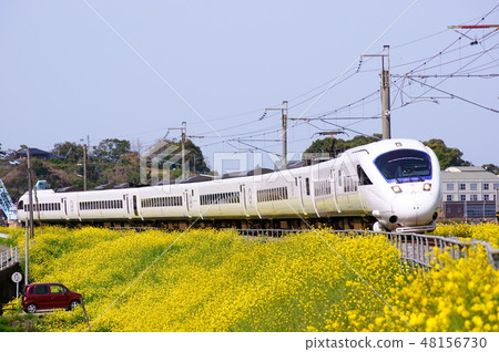 885系列·白色海鷗〜附近的Hizen Great Lao油菜花地毯〜 48156730