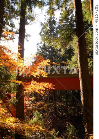 Immovable waterfall Gunma prefecture Midori city pillar Togawa autumnal waterfall Immovable waterfall Gunma prefecture Midori city pillar Togawa autumnal waterfall 48157205