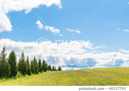 Biei hill landscape / Hokkaido sightseeing image 48157793