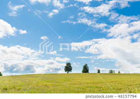 Biei hill landscape / Hokkaido sightseeing image 48157794