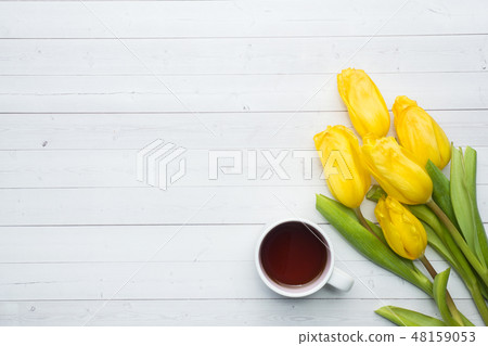 Overhead view of a bouquet of tulips 48159053