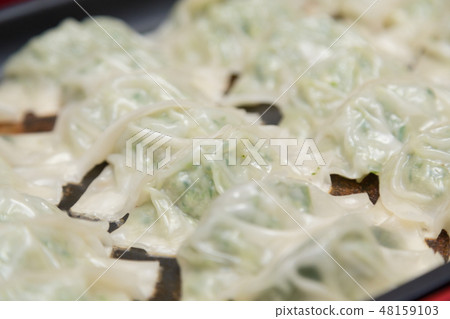 Pan-fried gyoza 48159103