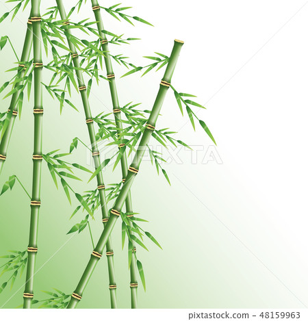 Bamboo trunk with leaves design 48159963