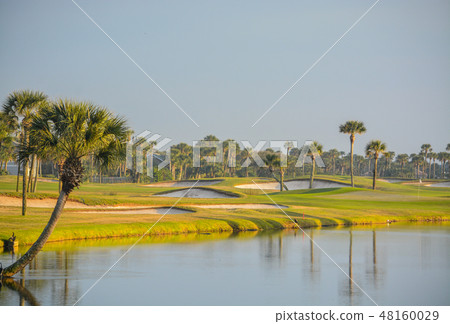 Palm trees on Lake Vedra,Ponte Vedra Beach,Florida Palm trees on Lake Vedra,Ponte Vedra Beach,Florida 48160029