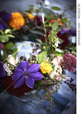 插花 插花 48160210