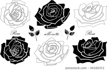 Roses. Silhouettes. Black and white. Set of elements isolated on a white background. Vector Roses. Silhouettes. Black and white. Set of elements isolated on a white background. Vector 48160351