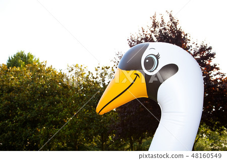Head of inflatable swan 48160549
