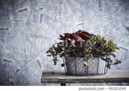 Arrangement Flower of Anthurium Anthurum Arrangement Flower of Anthurium Anthurum 48161048