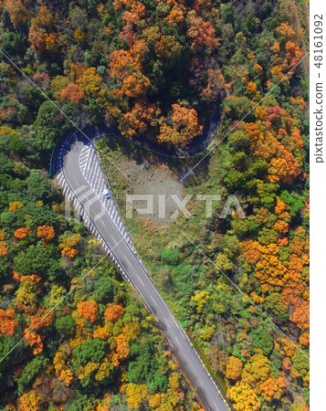 Autumn leaves / road - Aerial photograph with drone (Itano Itacho, Tokushima prefecture) Autumn leaves / road - Aerial photograph with drone (Itano Itacho, Tokushima prefecture) 48161092
