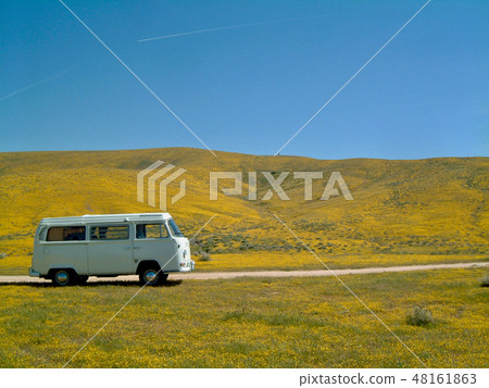 Flower and Wagenbus on the first side of the USA Flower and Wagenbus on the first side of the USA 48161863