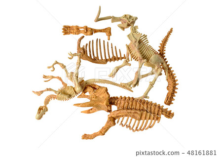 dinosaur bones dinosaur bones 48161881