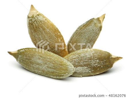 Peeled pumpkin seeds isolated on white 48162076